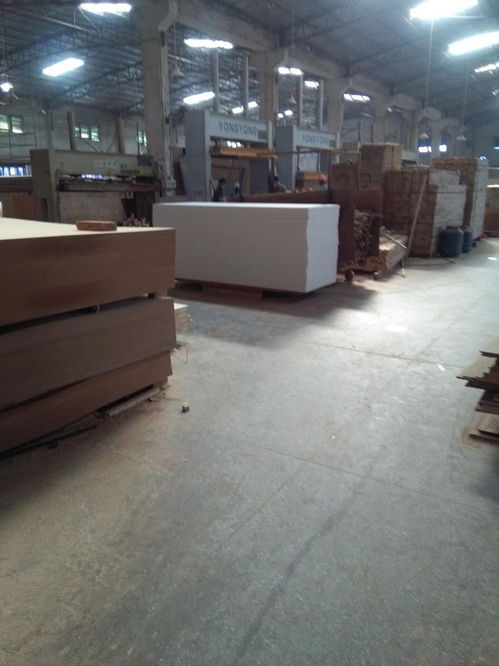 誠招全國代理！原木門、橡木門、復合烤漆門與生態木門優質廠商誠邀加盟